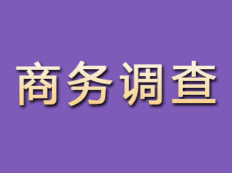 饶阳商务调查